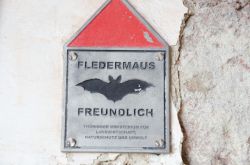 2014.07.-AGS-Thueringen-Nr.029