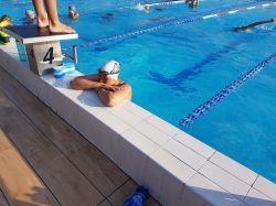 Schwimmen-2017-987